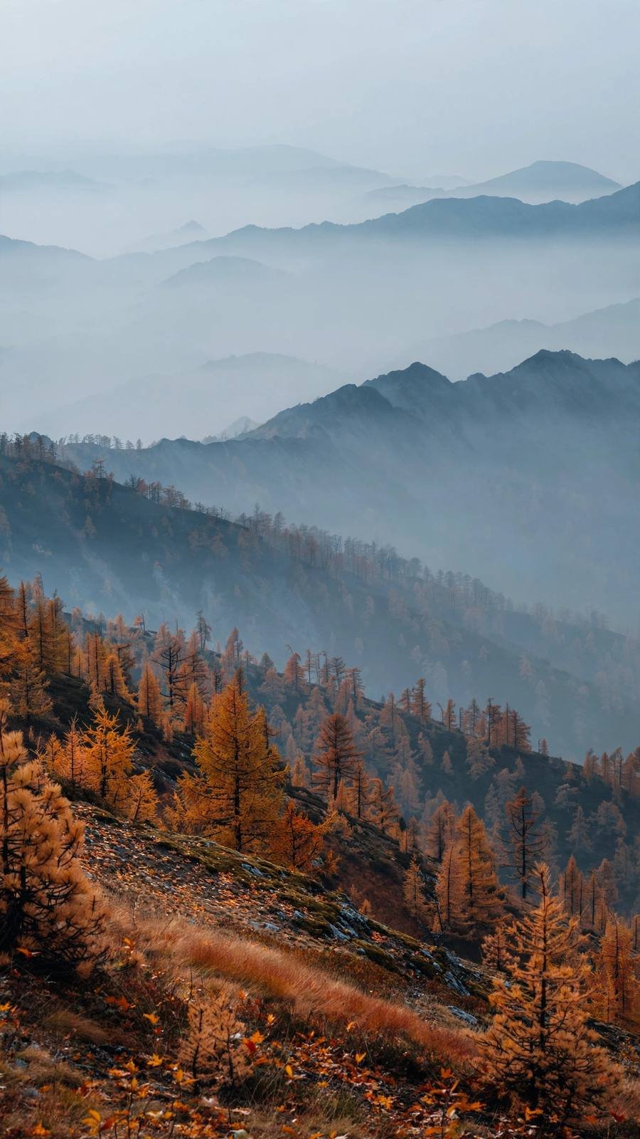 Fall wallpaper ideas: foggy layered mountains in fall